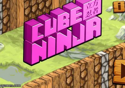 Cube Ninja - PLAY FREE
