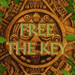 Free The Key – Puzzle – PLAY FREE