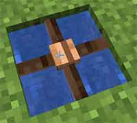 Minecraft Tip Fences for farming COSMOS DolyGames 8