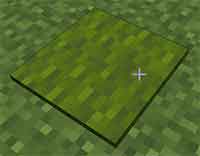 Minecraft Tip carpets for farming COSMOS DolyGames 6